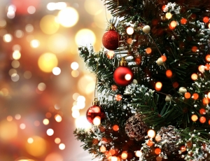 Planning a Christmas Party? Top Tips to Make it a Hit Planning a Christmas Party? Top Tips to Make it a Hit